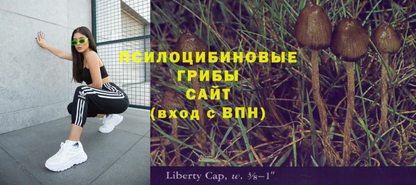 мескалин Алексеевка
