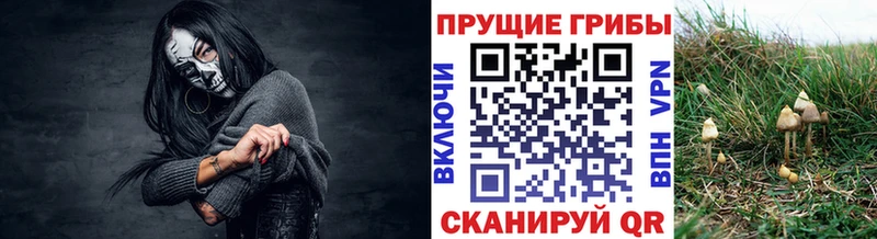 цена наркотик Углич Псилоцибиновые грибы Magic Shrooms